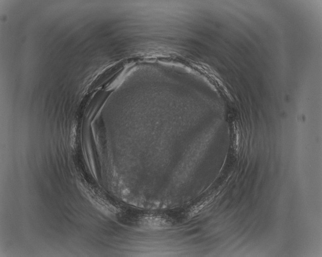 X0000084530596200703091630