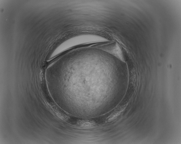 X0000084530597200703091630