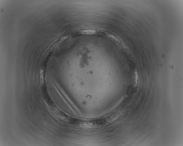 X0000084530598200703091630