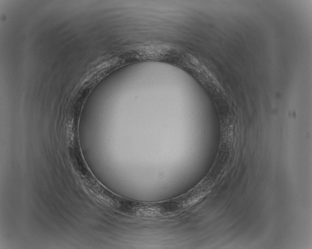 X0000084530599200703091630