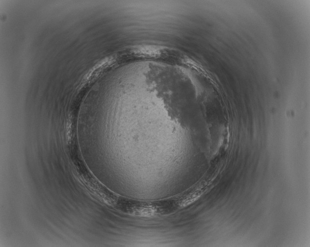 X0000084530600200703091630