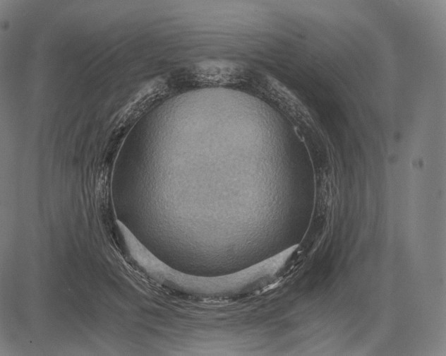 X0000084530601200703091630