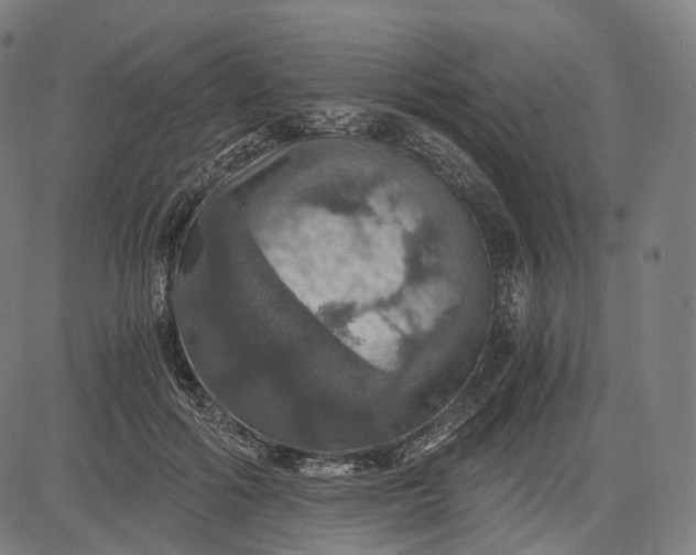 X0000084530602200703091630