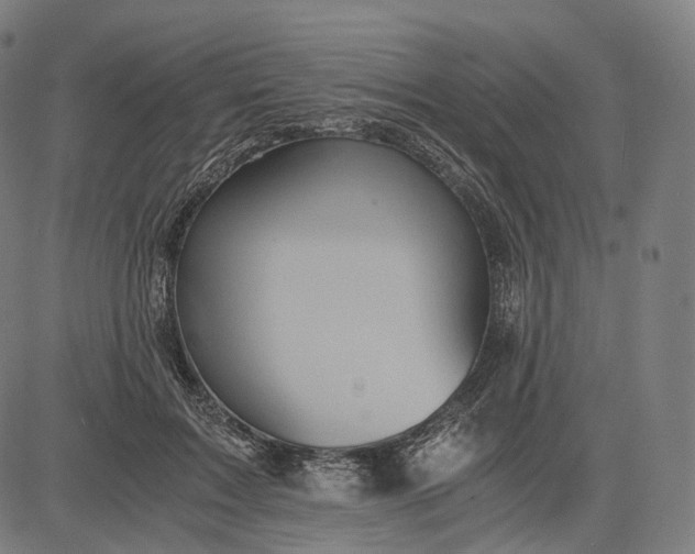 X0000084530603200703091630