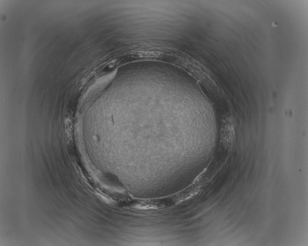 X0000084530604200703091630