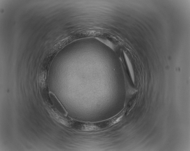 X0000084530605200703091630