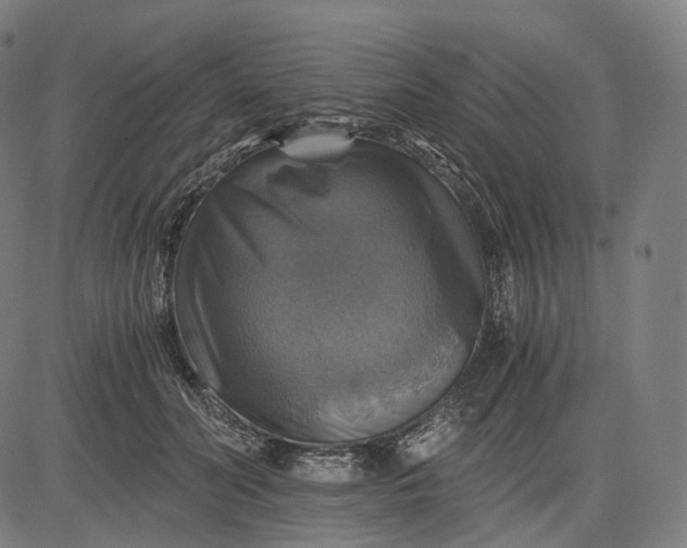 X0000084530606200703091630