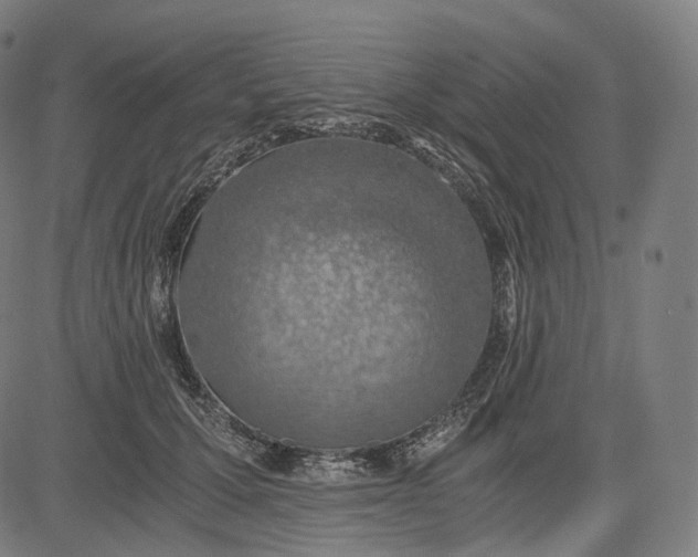 X0000084530607200703091630