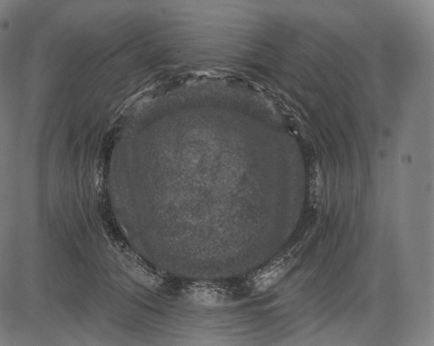 X0000084530608200703091630