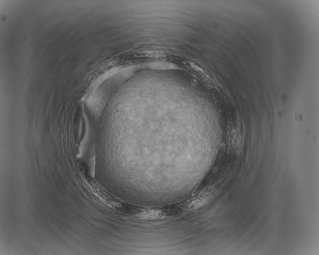 X0000084530609200703091630