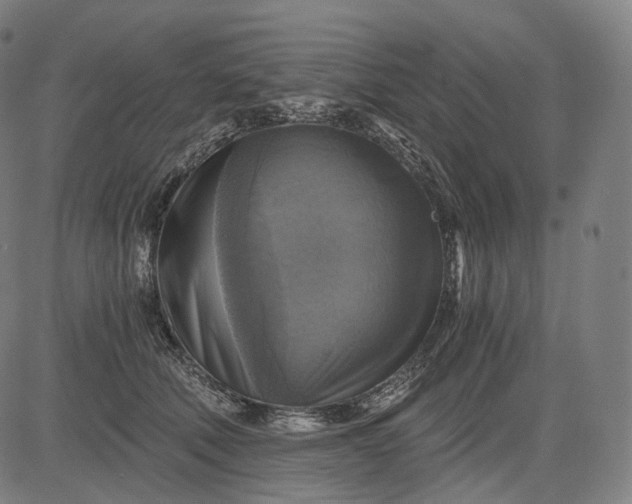 X0000084530610200703091630