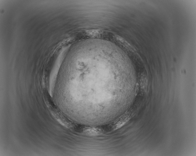 X0000084530611200703091630