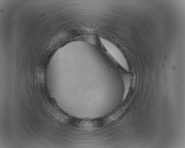 X0000084530613200703091630