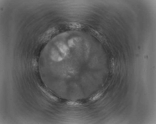 X0000084530614200703091630