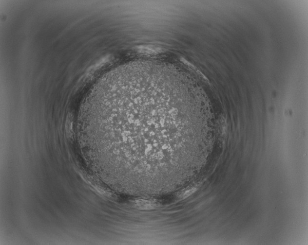 X0000084530615200703091630