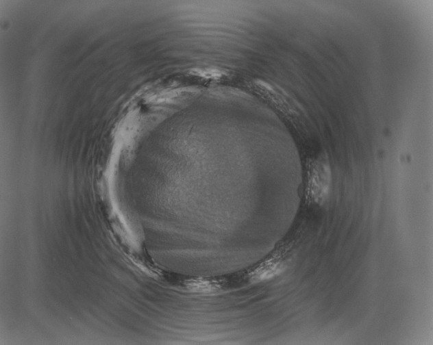 X0000084530616200703091629