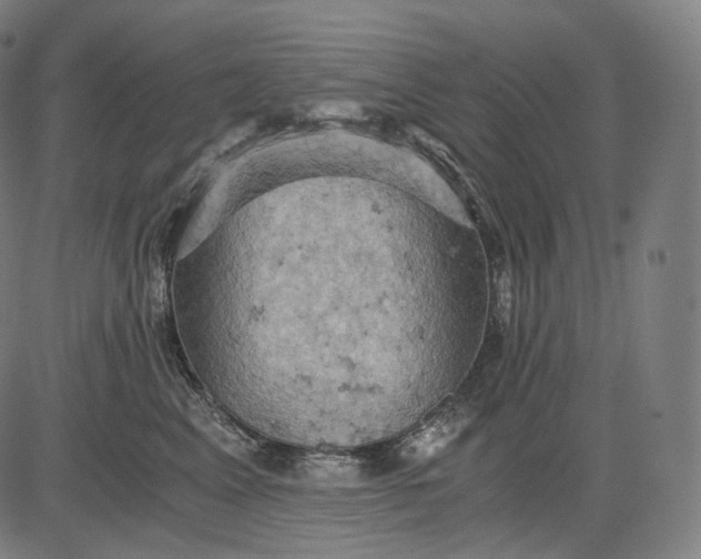 X0000084530617200703091629