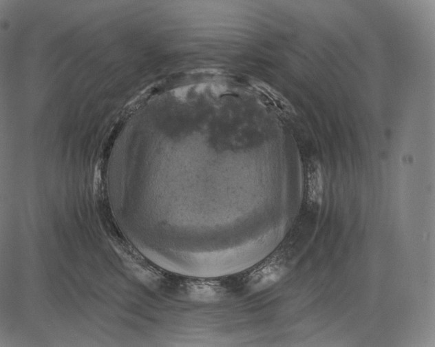 X0000084530618200703091629