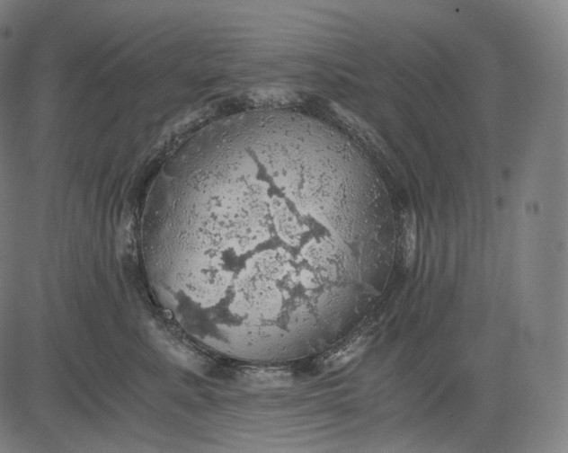 X0000084530619200703091629