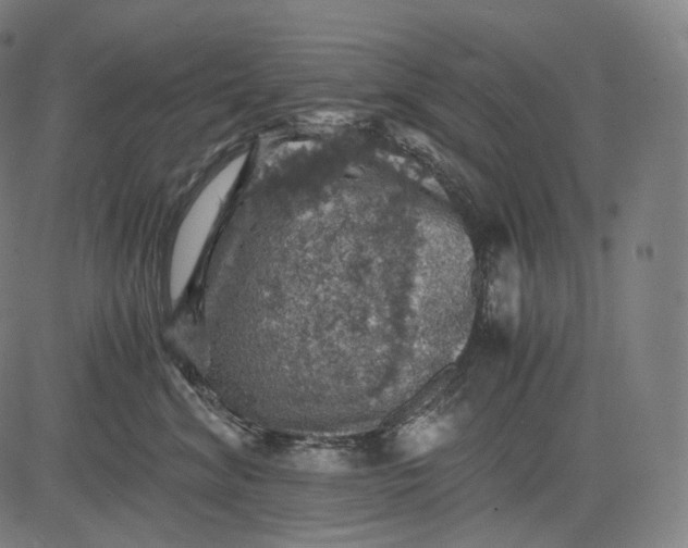 X0000084530620200703091629