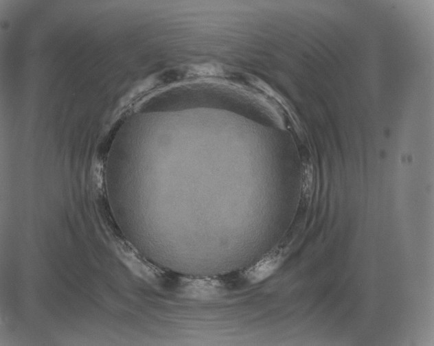 X0000084530621200703091629