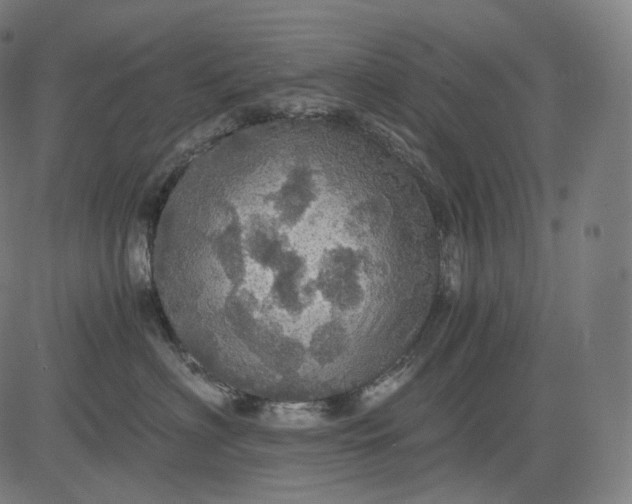 X0000084530622200703091629