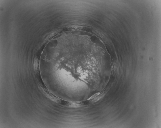 X0000084530623200703091629