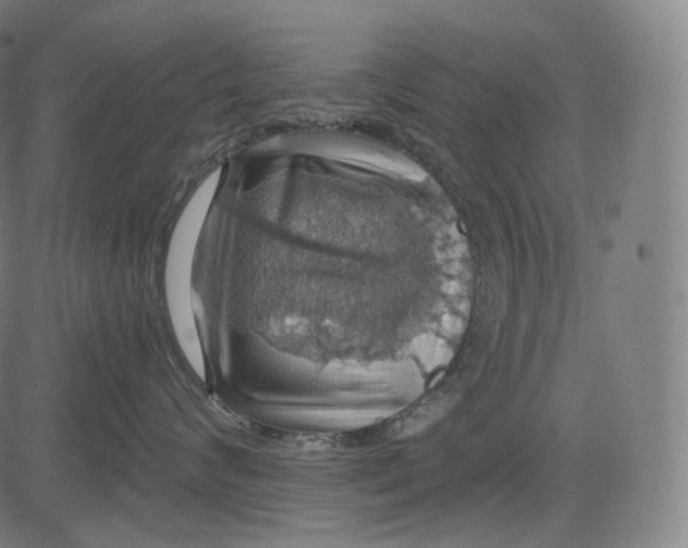 X0000084530624200703091629