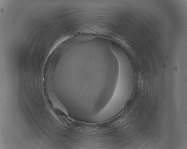 X0000084530626200703091629