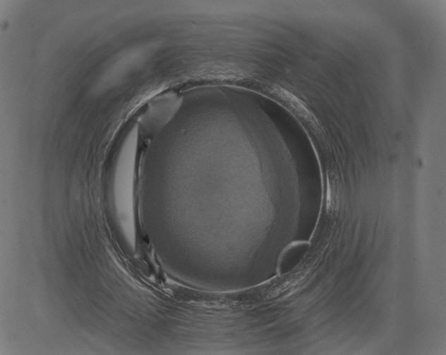 X0000084530627200703091629