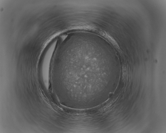 X0000084530628200703091629