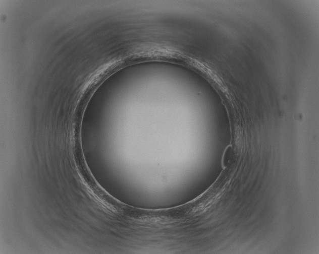 X0000084530629200703091629