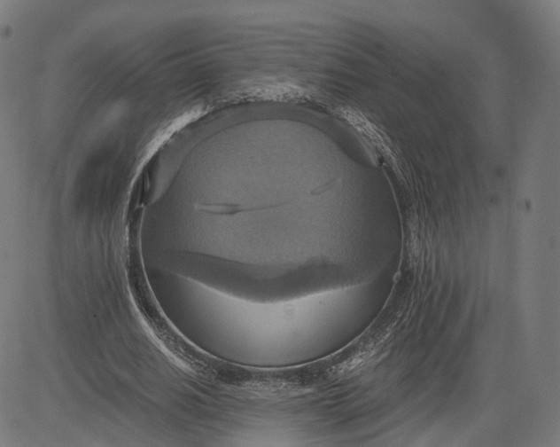 X0000084530630200703091629