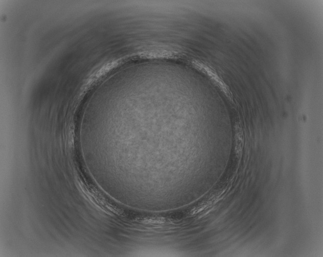 X0000084530631200703091629