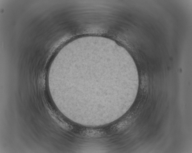 X0000084530632200703091629