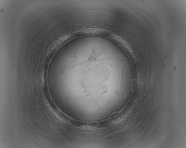 X0000084530633200703091629