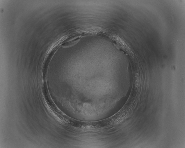 X0000084530634200703091629