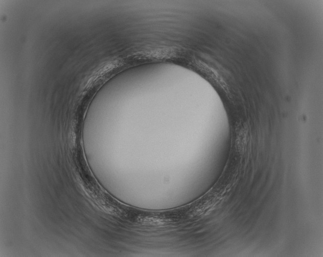 X0000084530635200703091629