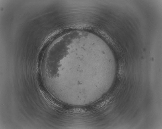 X0000084530636200703091629