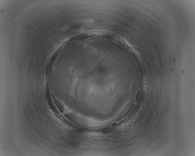 X0000084530637200703091629