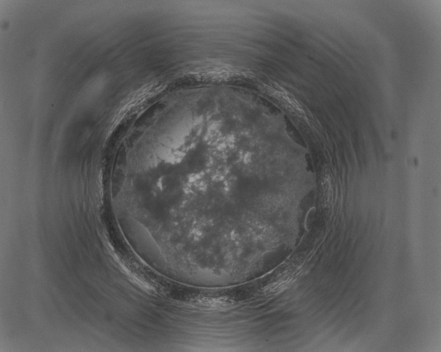 X0000084530638200703091629