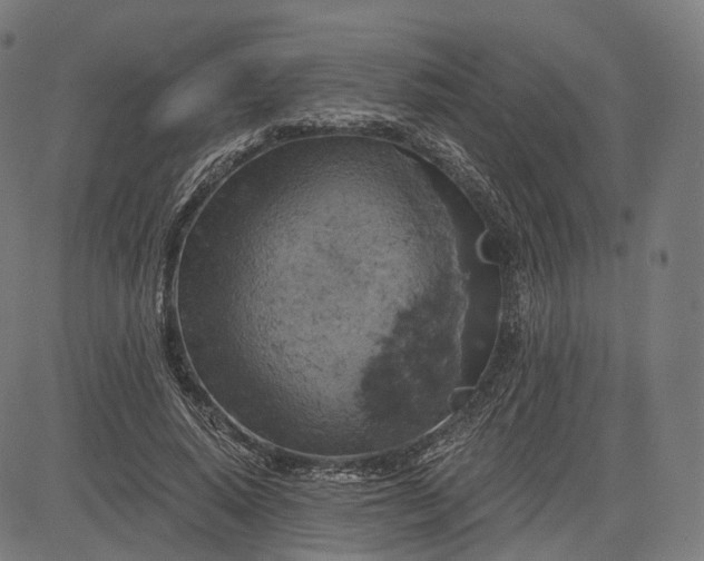 X0000084530640200703091629