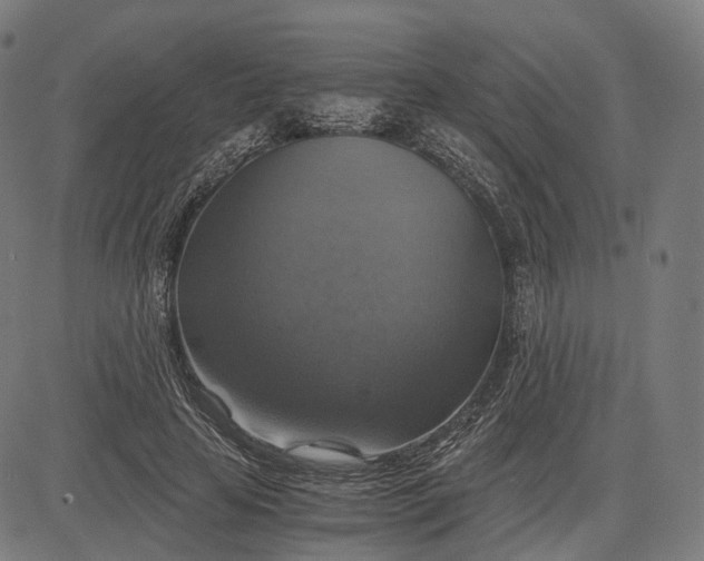 X0000084530641200703091629