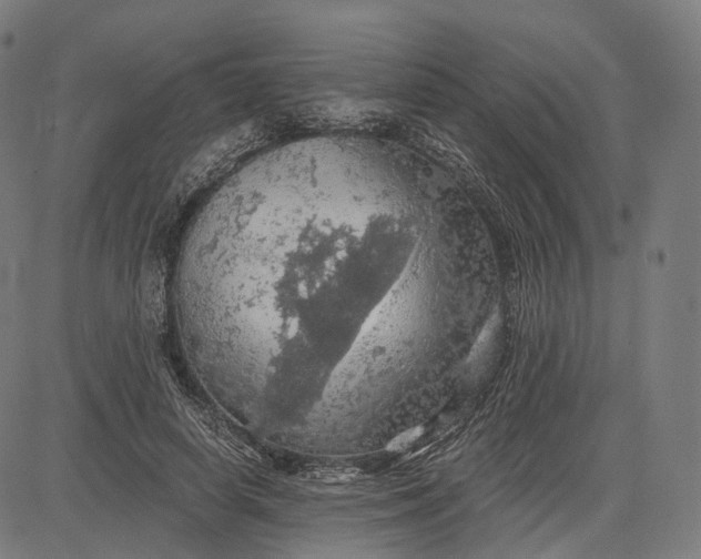 X0000084530642200703091629