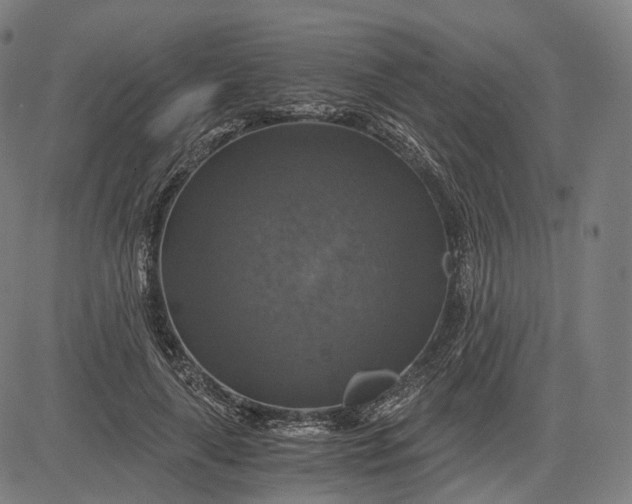 X0000084530643200703091629