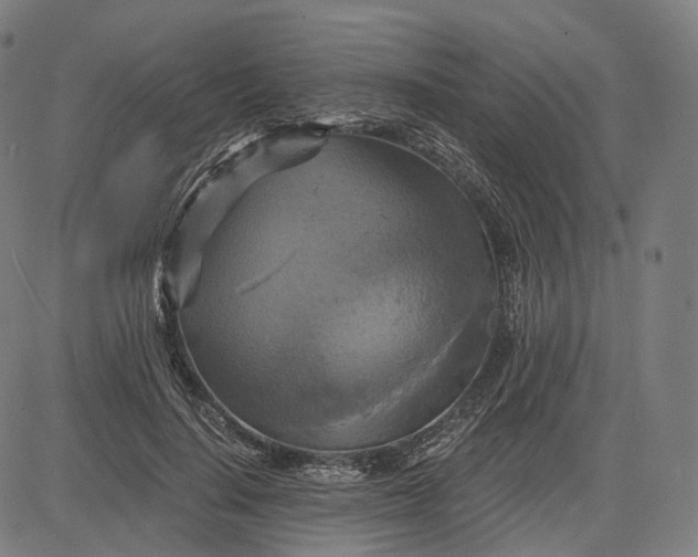 X0000084530644200703091629