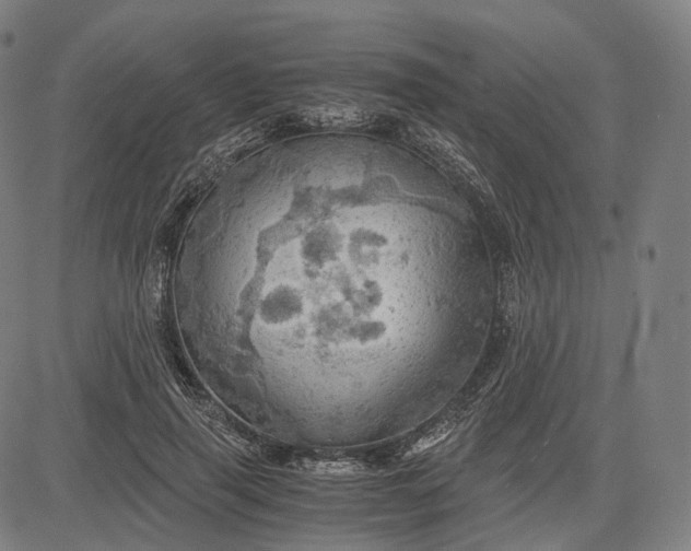 X0000084530645200703091629