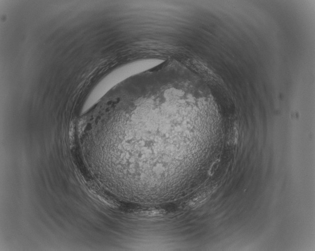 X0000084530646200703091629