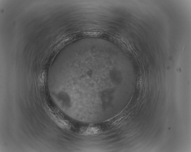 X0000084530647200703091629