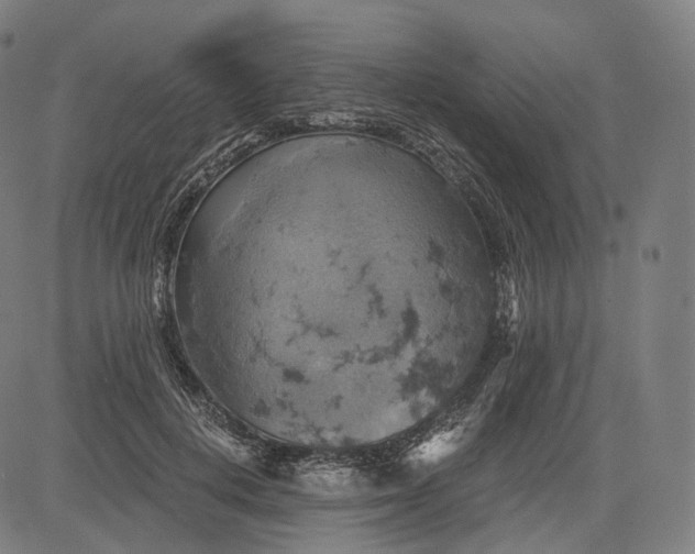 X0000084530648200703091629